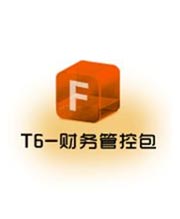 T6-財(cái)務(wù)管理